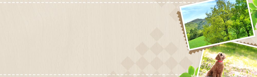 �ӂ邳�Ɣ[��-�ߐłł���ɓ�����ԗ�i